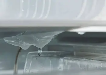 Ice Maker Leaking Water norman ok