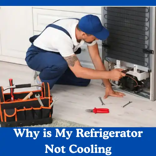 Refrigerator Not Cooling What You Should Know